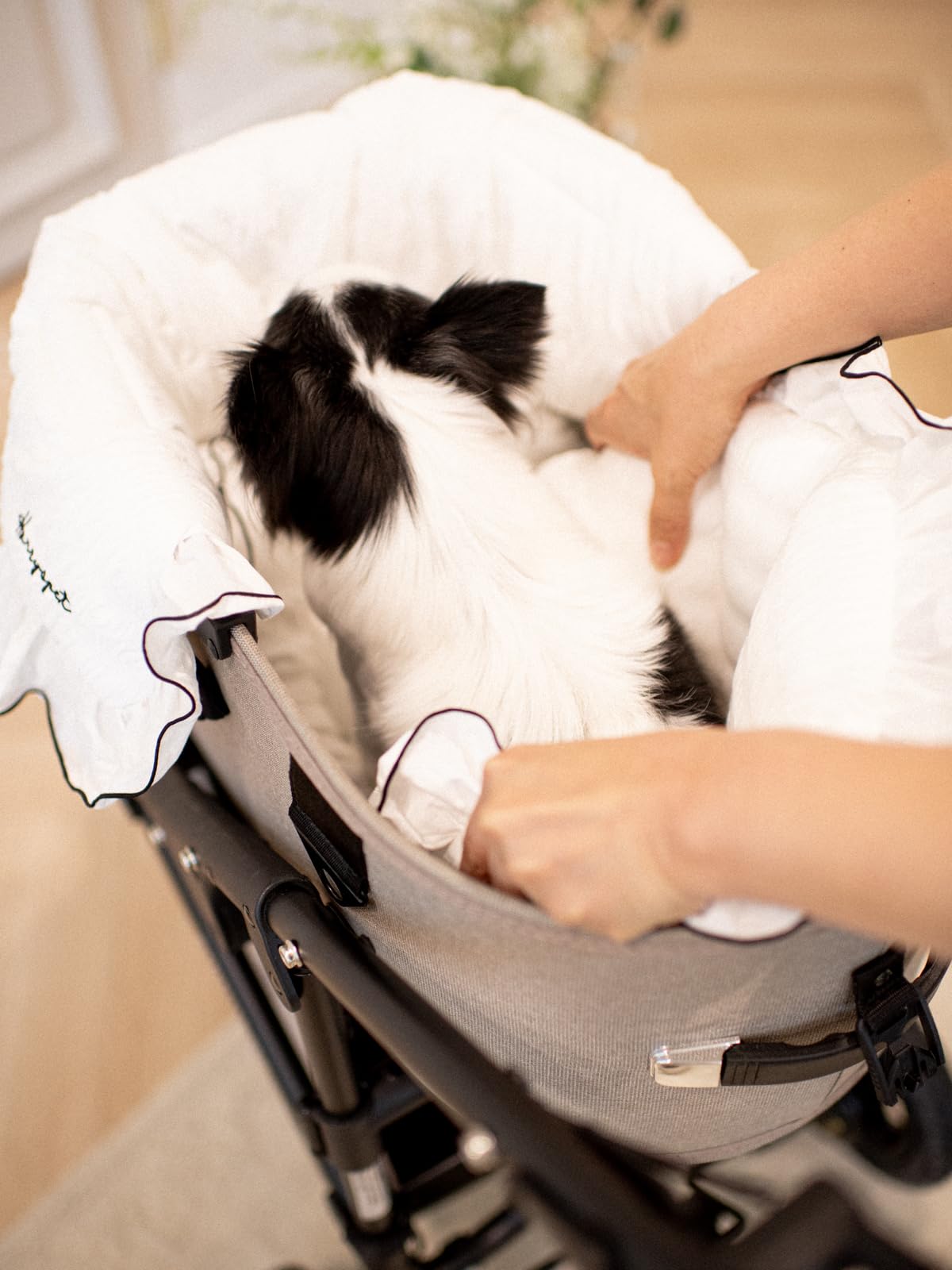 Amazon | ペットカートクッション ロココ New Margaret HARRYSPET